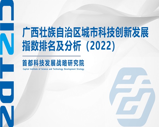 亚洲操b在线播放【成果发布】广西壮族自治区城市科技创新发展指数排名及分析（2022）